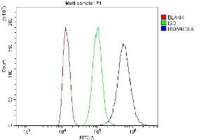 Flow Cytometry analysis of K562 cells using anti- Hsc70 antibody (ABIN7601962). (Hsc70 antibody  (AA 520-614))