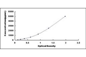 S100 Protein (S100) ELISA Kit
