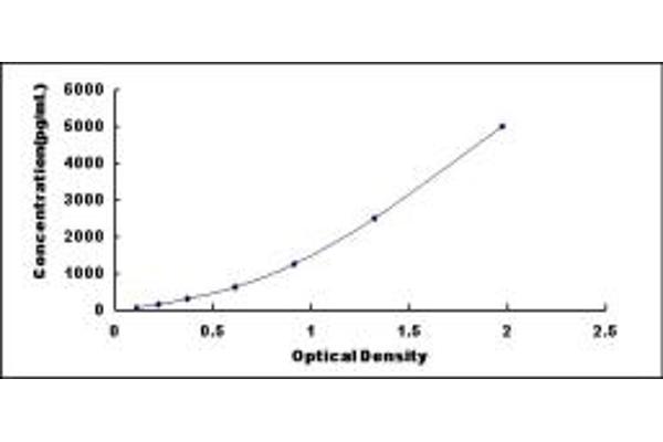 S100 Protein (S100) ELISA Kit