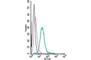 Cell surface detection of CX3CR1 by direct flow cytometry in live intact mouse J774 macrophage cells: + Rabbit IgG Isotype Control-FITC (ABIN7582044).