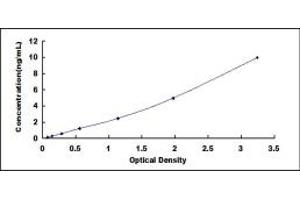 Typical standard curve (CRHR1 ELISA Kit)