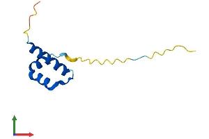 AlphaFold protein structure predicition of Human Recombinant CTNNBIP1 Protein, UniprotID Q9NSA3