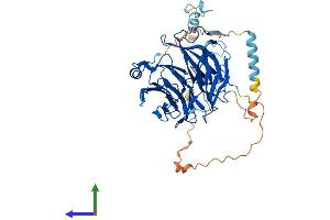 Protein Structure (PS) image for PWP1 Homolog (PWP1) (AA 1-501) protein (His tag) (ABIN7551127)