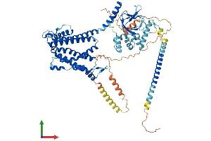 AlphaFold protein structure predicition of Mouse Recombinant Cnga1 Protein, UniprotID P29974