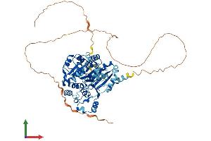 Protein Structure (PS) image for DEAD (Asp-Glu-Ala-Asp) Box Polypeptide 5 (DDX5) (AA 1-614) protein (His tag) (ABIN7553652)
