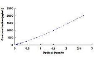 ELISA image for TIMP Metallopeptidase Inhibitor 1 (TIMP1) ELISA Kit (ABIN431273)