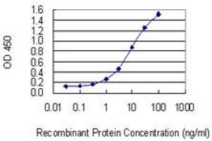 Detection limit for recombinant GST tagged CD84 is 0. (CD84 antibody  (AA 22-121))