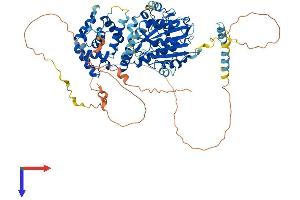 AlphaFold protein structure predicition of Human Recombinant NSUN7 Protein, UniprotID Q8NE18 (NSUN7 Protein (AA 1-718) (His tag))