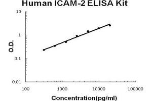 Human ICAM-2 PicoKine ELISA Kit standard curve (ICAM2 ELISA Kit)