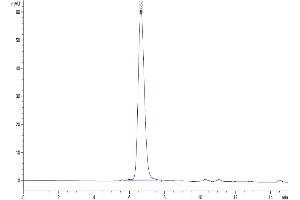 The purity of Biotinylated Human FGFR3 alpha (IIIb) is greater than 95 % as determined by SEC-HPLC.
