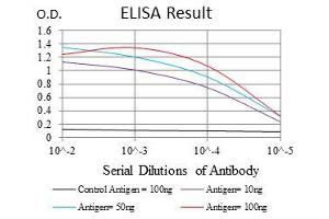 Black line: Control Antigen (100 ng), Purple line: Antigen(10 ng), Blue line: Antigen (50 ng), Red line: Antigen (100 ng), (CD7 antibody  (AA 72-175))