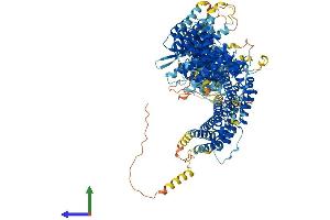 AlphaFold protein structure predicition of Mouse Recombinant Fanci Protein, UniprotID Q8K368