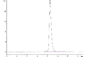 Size-exclusion chromatography-High Pressure Liquid Chromatography (SEC-HPLC) image for Ectonucleotide pyrophosphatase/phosphodiesterase 3 (ENPP3) (AA 558-875) protein (His tag) (ABIN7274542)