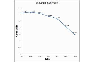 Antigen: 0. (TSH receptor antibody  (AA 501-600))