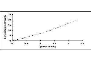 COL10 ELISA Kit