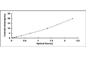 Typical standard curve