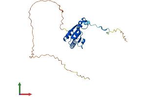AlphaFold protein structure predicition of Mouse Recombinant Malsu1 Protein, UniprotID Q9CWV0