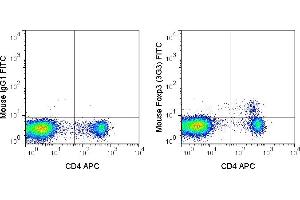 C57Bl/6 splenocytes were stained with APC Anti-Mouse CD4 (ABIN6961414), followed by intracellular staining with 0. (FOXP3 antibody  (FITC))