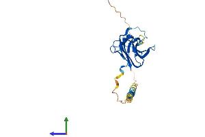 Protein Structure (PS) image for Tumor Necrosis Factor (Ligand) Superfamily, Member 15 (TNFSF15) (AA 1-251) protein (His tag) (ABIN7544542)