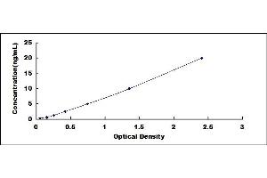 Typical standard curve (DPEP1 ELISA Kit)