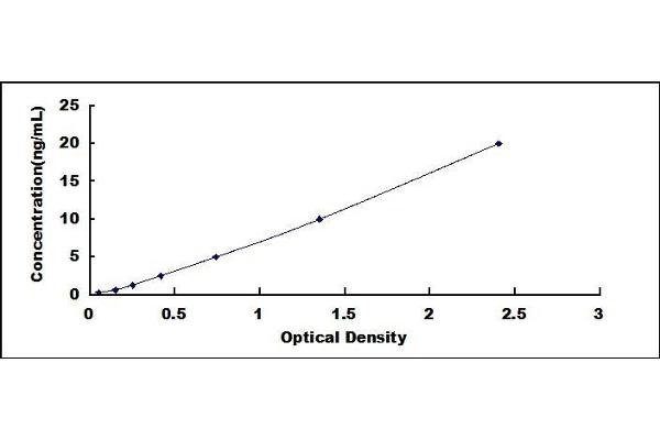 DPEP1 ELISA Kit