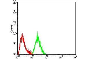 Flow cytometric analysis of Hela cells using CDKN2A/P16 mouse mAb (green) and negative control (red). (Tumor Suppressor ARF (CDKN2A) (AA 1-156) antibody)