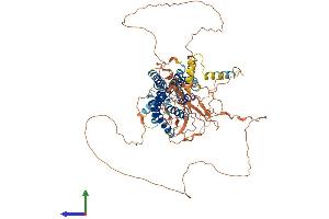 AlphaFold protein structure predicition of Human Recombinant GPR149 Protein, UniprotID Q86SP6