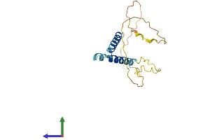 AlphaFold protein structure predicition of Mouse Recombinant Hes3 Protein, UniprotID Q61657