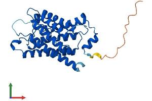 AlphaFold protein structure predicition of Mouse Recombinant Mip Protein, UniprotID P51180