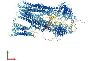AlphaFold protein structure predicition of Human Recombinant ABCC2 Protein, UniprotID Q92887