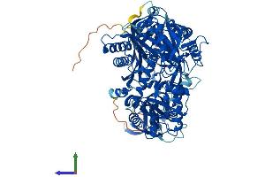 AlphaFold protein structure predicition of Human Recombinant AGO3 Protein, UniprotID Q9H9G7 (EIF2C3 Protein (AA 1-860) (His tag))