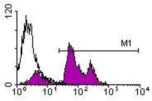 Image no. 1 for anti-CD45 (CD45.2 Allogen) antibody (PE) (ABIN135327) (CD45.2 antibody  (PE))