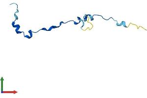 AlphaFold protein structure predicition of Mouse Recombinant Anapc13 Protein, UniprotID Q8R034