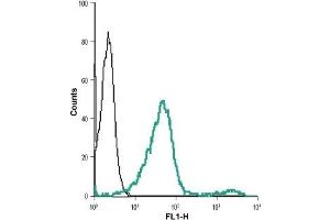 Cell surface detection of VPAC2 in live intact human Jurkat cell line: (black line) Cells + goat-anti-rabbit-DyLight-488. (VIPR2 antibody  (Extracellular))