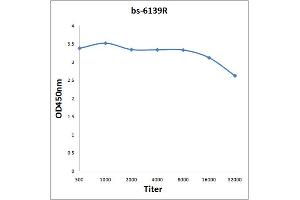 Antigen: 0. (KDM5B antibody  (AA 65-165))