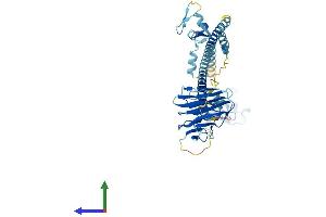 AlphaFold protein structure predicition of Mouse Recombinant Trim60 Protein, UniprotID Q8VI40 (TRIM60 Protein (AA 1-466) (His tag))