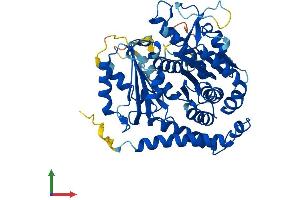 Protein Structure (PS) image for Tubulin, epsilon 1 (TUBE1) (AA 1-475) protein (His tag) (ABIN7544359)