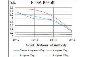 Black line: Control Antigen (100 ng), Purple line: Antigen(10 ng), Blue line: Antigen (50 ng), Red line: Antigen (100 ng), (Nucleostemin antibody  (AA 1-226))