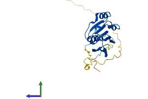 Protein Structure (PS) image for NADH Dehydrogenase (Ubiquinone) Complex I, Assembly Factor 3 (NDUFAF3) (AA 1-184) protein (His tag) (ABIN7549693)
