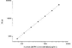 Typical standard curve (AMPK alpha CLIA Kit)