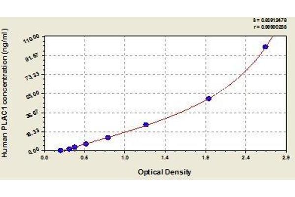 PLAC1 ELISA Kit