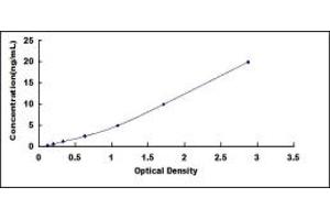 Typical standard curve (HCN4 ELISA Kit)