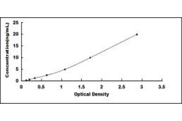 HCN4 ELISA Kit