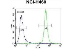 Flow Cytometry (FACS) image for anti-Macrophage Stimulating 1 (Hepatocyte Growth Factor-Like) (MST1) (AA 475-505), (C-Term) antibody (ABIN953271)