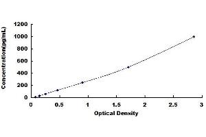 Typical standard curve