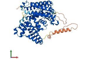AlphaFold protein structure predicition of Human Recombinant MBOAT2 Protein, UniprotID Q6ZWT7 (MBOAT2 Protein (AA 1-520) (His tag))
