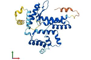 Protein Structure (PS) image for Lix1 Homolog (LIX1) (AA 1-282) protein (His tag) (ABIN7549062)
