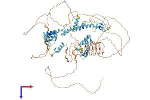 AlphaFold protein structure predicition of Human Recombinant ZNF512B Protein, UniprotID Q96KM6