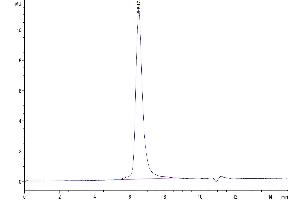 The purity of Biotinylated Human DKK3 is greater than 95 % as determined by SEC-HPLC. (DKK3 Protein (AA 23-350) (His-Avi Tag,Biotin))