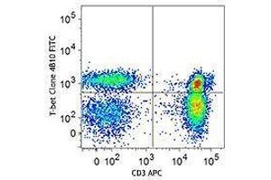 Flow Cytometry (FACS) image for anti-T-Bet antibody (FITC) (ABIN2661996) (T-Bet antibody  (FITC))